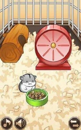 我养仓鼠贼6游戏截图
