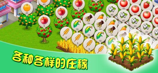 不仅仅是农场游戏截图