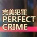 Perfect Crime（完美犯罪）