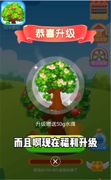平安小果园红包版下载_平安小果园红包版游戏下载v1.0.0