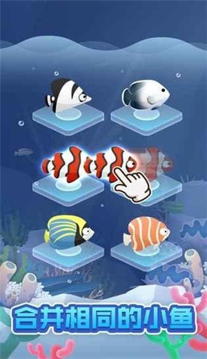 全民海洋馆红包版下载_全民海洋馆红包版游戏下载v1.0.0