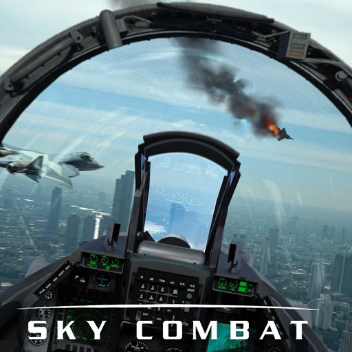 空战(Sky Combat)