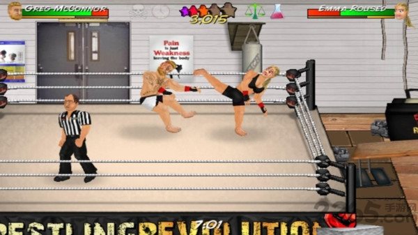 摔跤革命2d(Wrestling Revolution 3D)