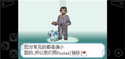口袋剑盾破解版
