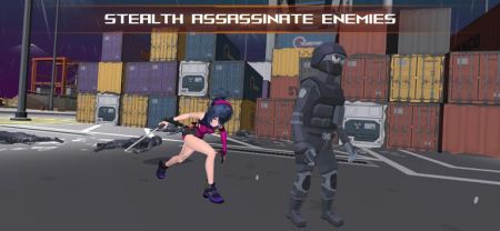 忍者隐形刺客(Ninja Stealth Assassin)