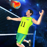 排球比赛冠军3D(Volleyball Champions Game 3D)