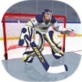 曲棍球比赛明星3D(HockeyStars3D)