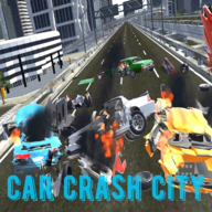 车祸城市(Car Crash City)