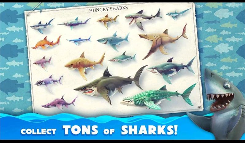 饥饿鲨世界国际版（hungry shark world）