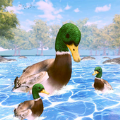 鸭子家庭生活模拟器3D最新版（Duck Family Life Simulator 3D）