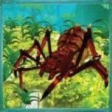蜘蛛蚁后昆虫战争（Spider Simulator）