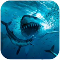巨齿鲨模拟器(Megalodon Simulator)