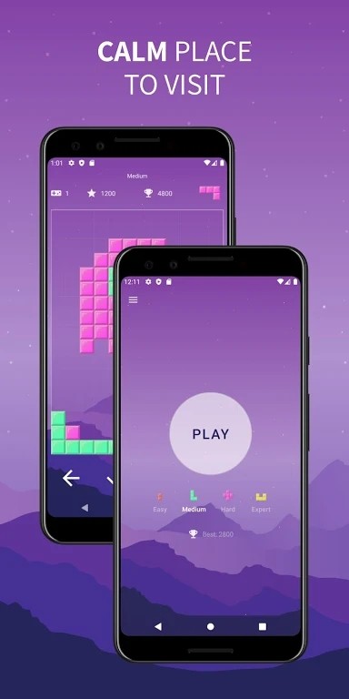 放置砖块(Brick Game)