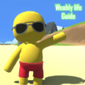 摇摆人生指南（Guide for Wobbly Life）