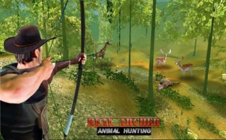 真正的弓箭手动物狩猎(Real Archer Animal Hunting)