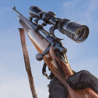 狙击手3D刺客大师(Sniper 3D 2021)