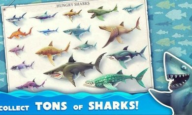 饥饿鲨鱼世界无限珍珠钻石金币