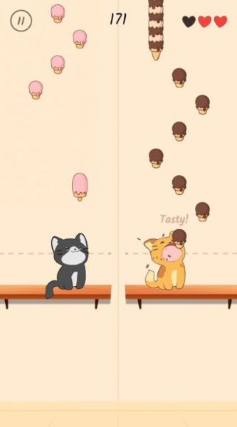 猫猫学园安卓版