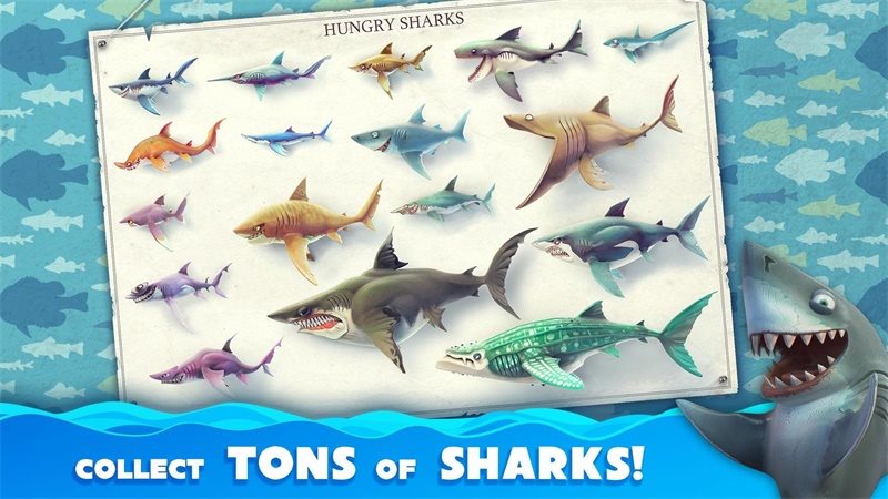 饥饿鲨世界国际服正版（hungry shark world）
