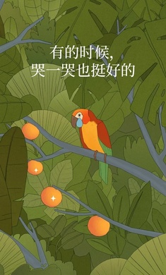 孤独的鸟儿中文版无广告
