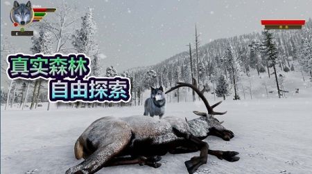 森林狼生存模拟器