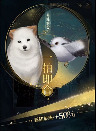 代号鸢手机版