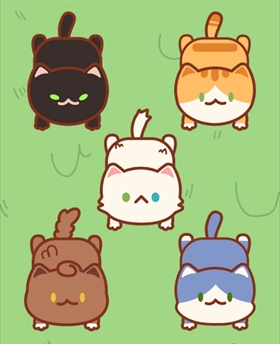 猫咪堵塞
