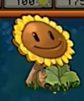 pvz杂交版手机版