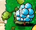 pvz杂交版手机版