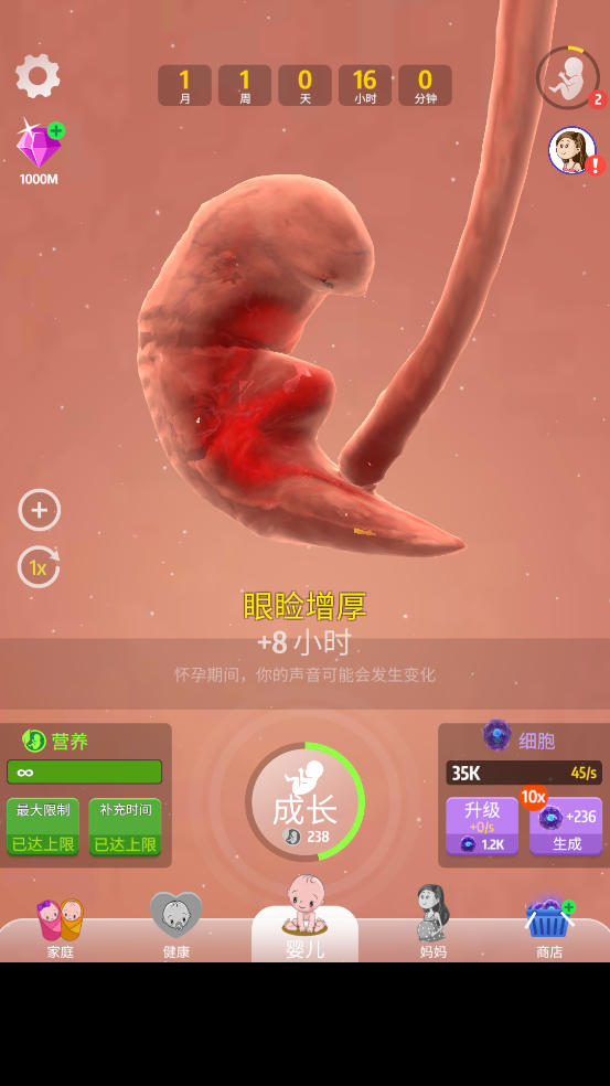 人类进化史