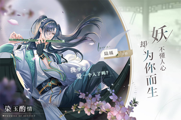 猫之宿约者最新版正版