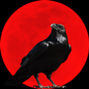 乌鸦之霜最新版2026