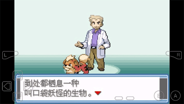 口袋妖怪永恒之焱手机版最新