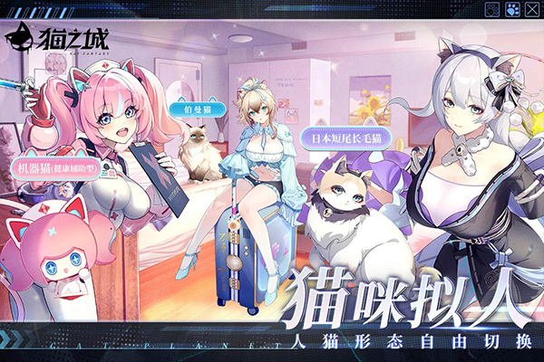 猫之城手游猫之城手游免费版