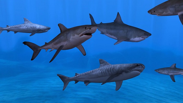 养鱼场3中文版(Fish Farm 3)