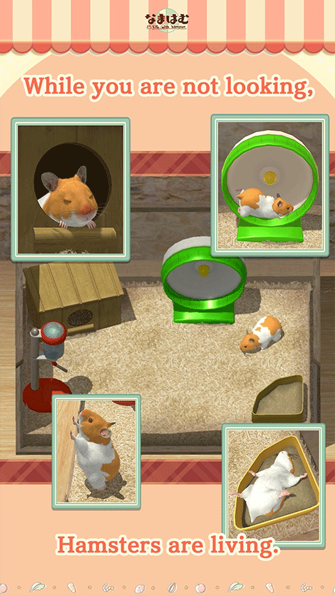 我的仓鼠游戏正版