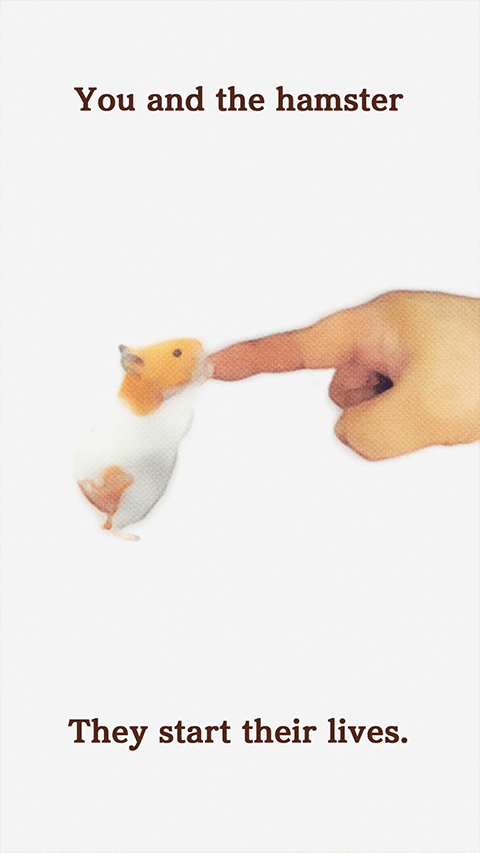 我的仓鼠游戏正版