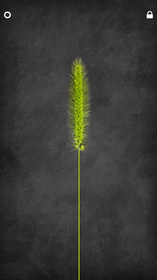 咪呜猫玩具游戏