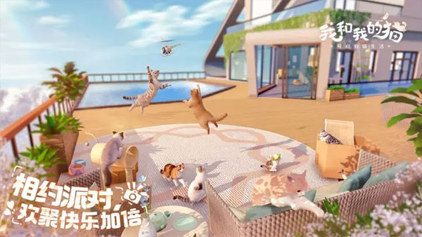 我和我的猫游戏安卓版