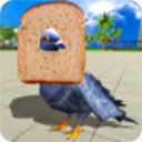 鸽子模拟器中文版手游