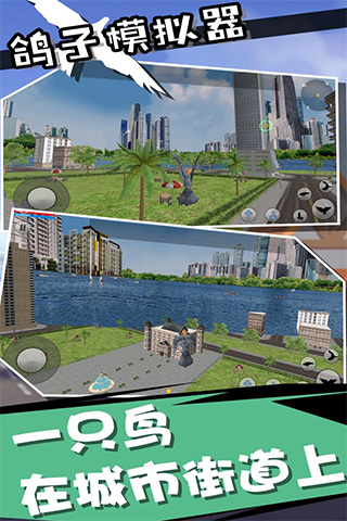 鸽子模拟器中文版手游