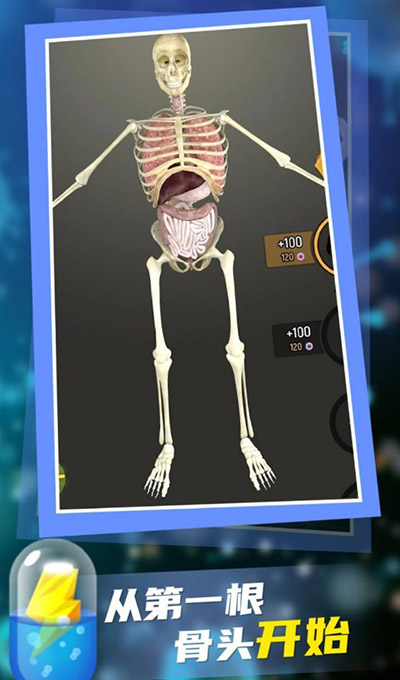 放置人类中文版安卓版