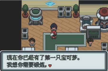 口袋妖怪白金汉化版