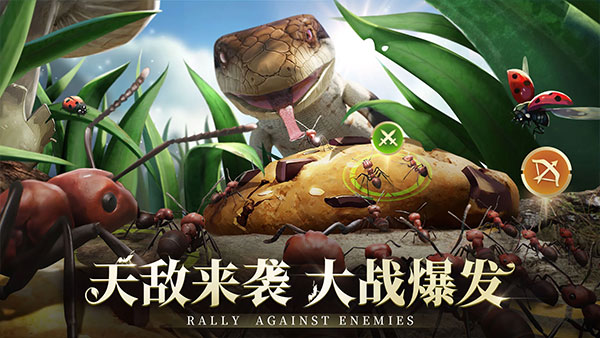 小小蚁国国际服最新版