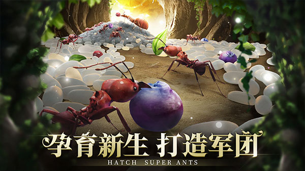 小小蚁国国际服最新版