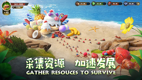 小小蚁国国际服最新版