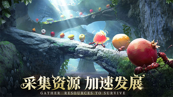 小小蚁国国际服最新版