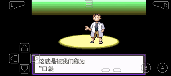 口袋妖怪漆黑的魅影5.0手机版游戏