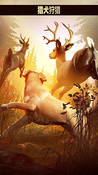 猎鹿人2018中文版