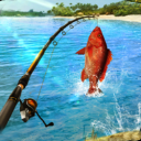 超真实钓鱼模拟器中文最新版(Fishing Clash)